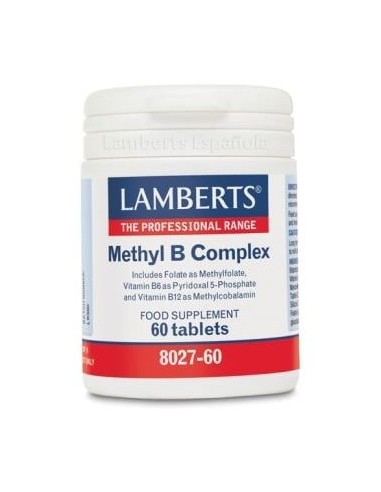 Methyl B Complex 60Comp.
