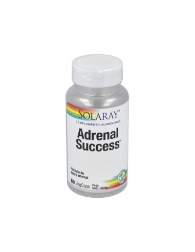 Adrenal Success 60Cap.