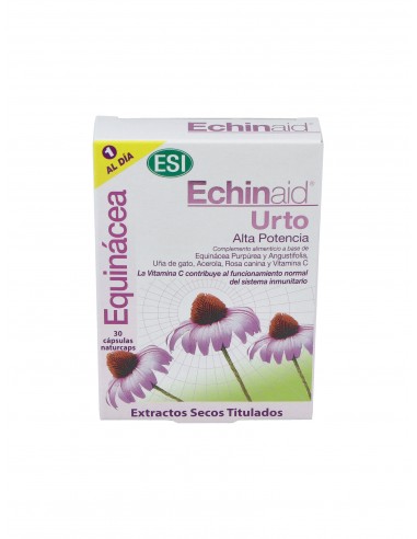 Echinaid Urto 30Cap.